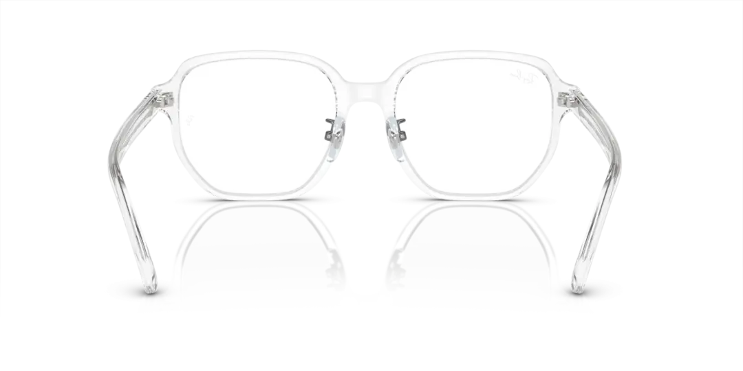 Ray-Ban Optical 0RX5424D 2001