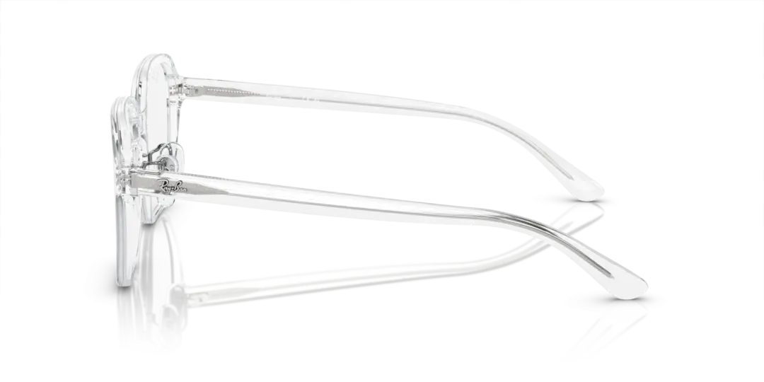 Ray-Ban Optical 0RX5424D 2001