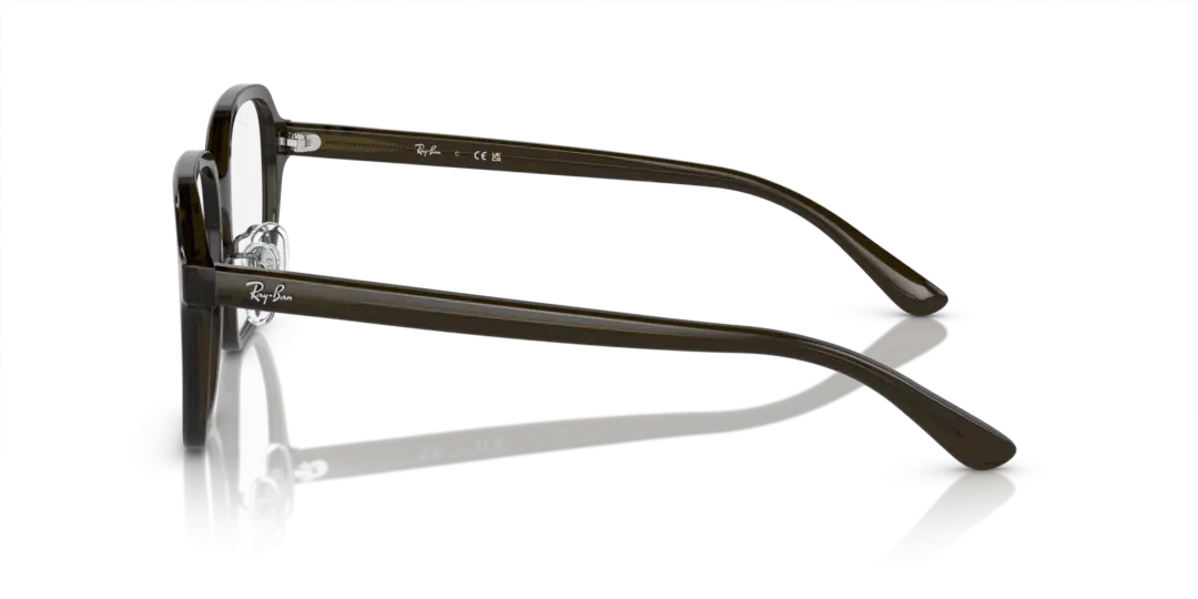 Ray-Ban Optical 0RX5424D 8218