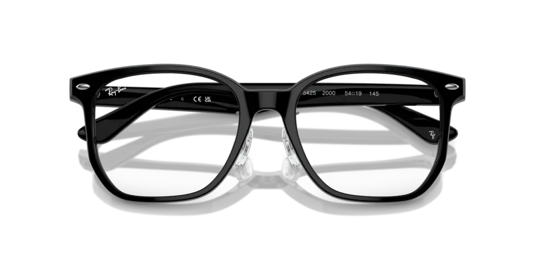 Ray-Ban Optical 0RX5425D 2000