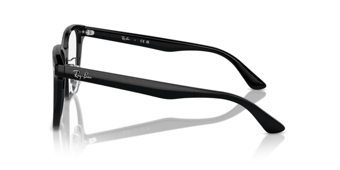 Ray-Ban Optical 0RX5425D 2000