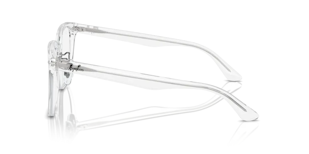 Ray-Ban Optical 0RX5425D 2001