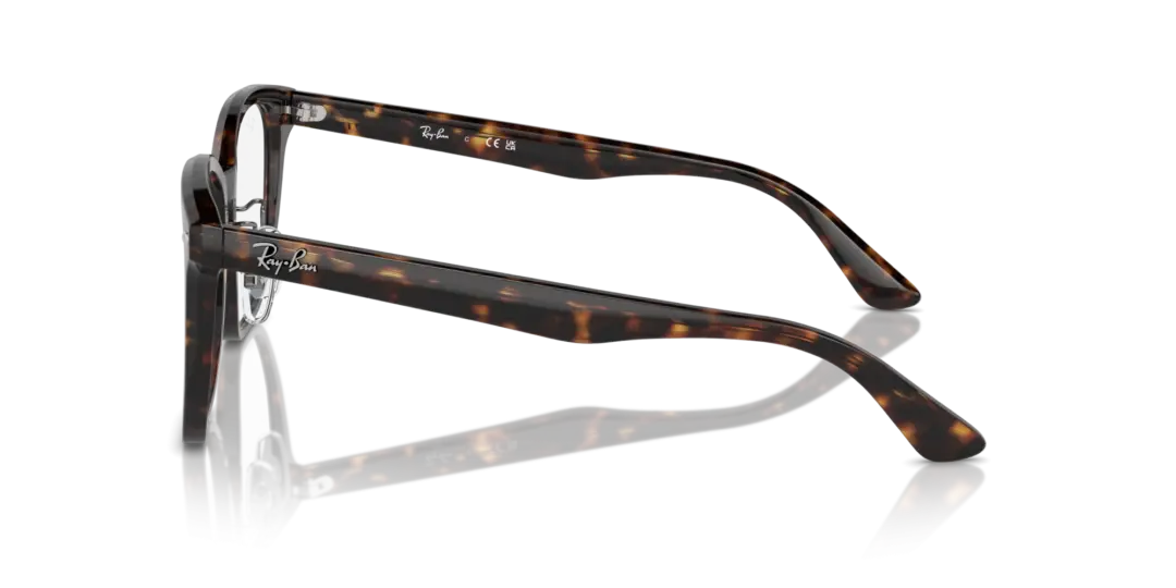 Ray-Ban Optical 0RX5425D 2012