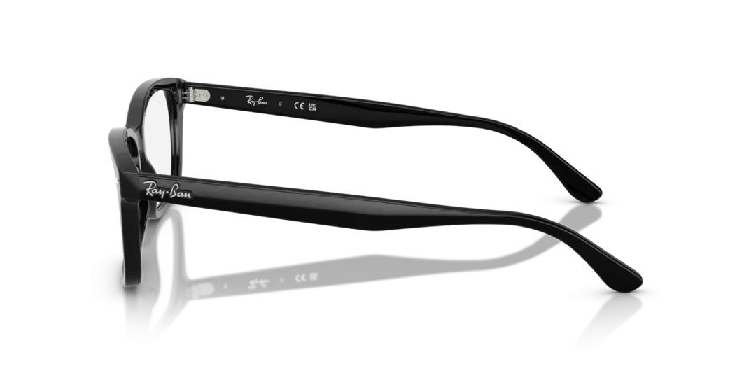 Ray-Ban Optical 0RX5428F 2000