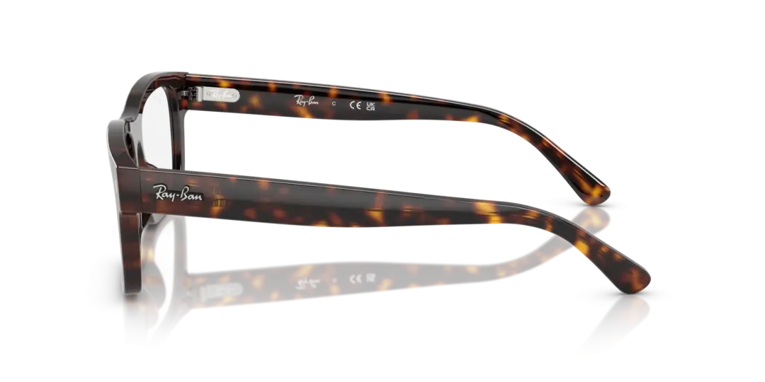 Ray-Ban Optical 0RX5435F 2012