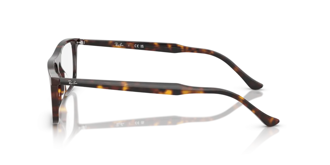 Ray-Ban Optical 0RX5440F 2012