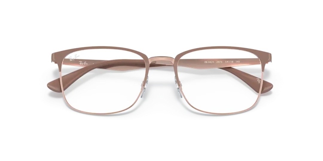 Ray-Ban Optical 0RX6421 2973