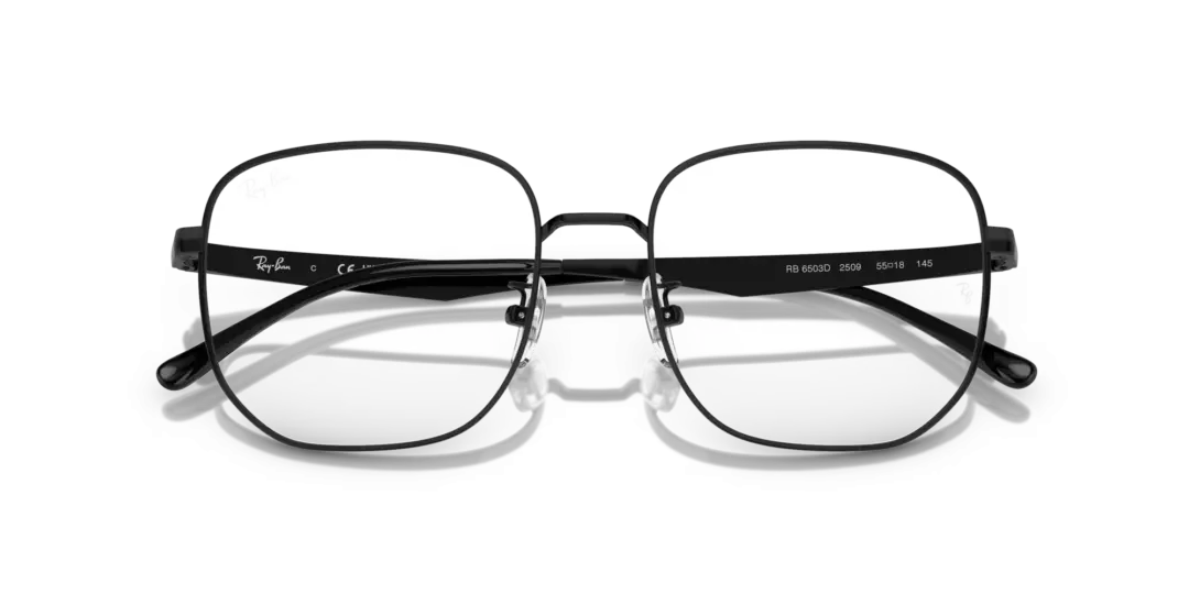 Ray-Ban Optical 0RX6503D 2509