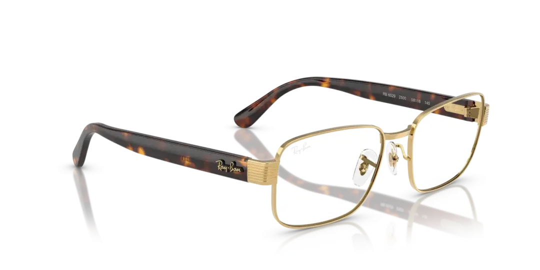 Ray-Ban Optical 0RX6529 2500