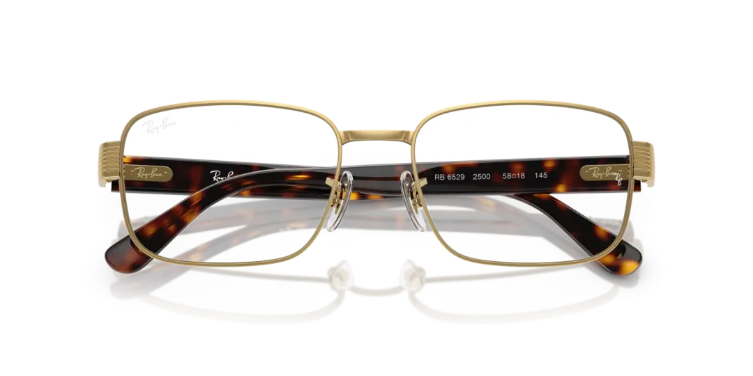 Ray-Ban Optical 0RX6529 2500