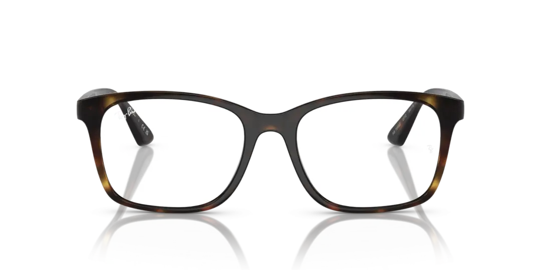 Ray-Ban Optical 0RX7059D 2012