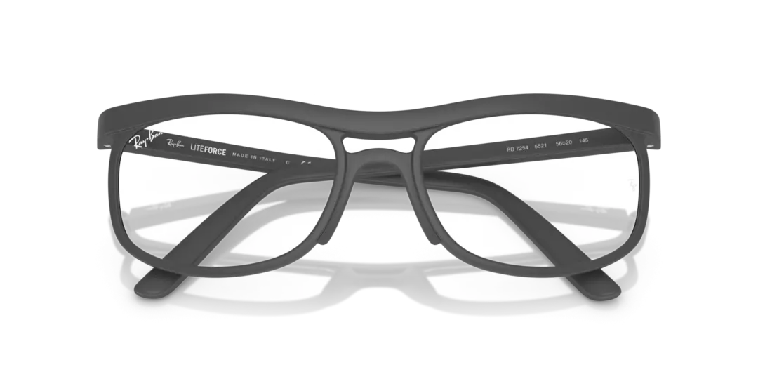 Ray-Ban Optical 0RX7254 5521