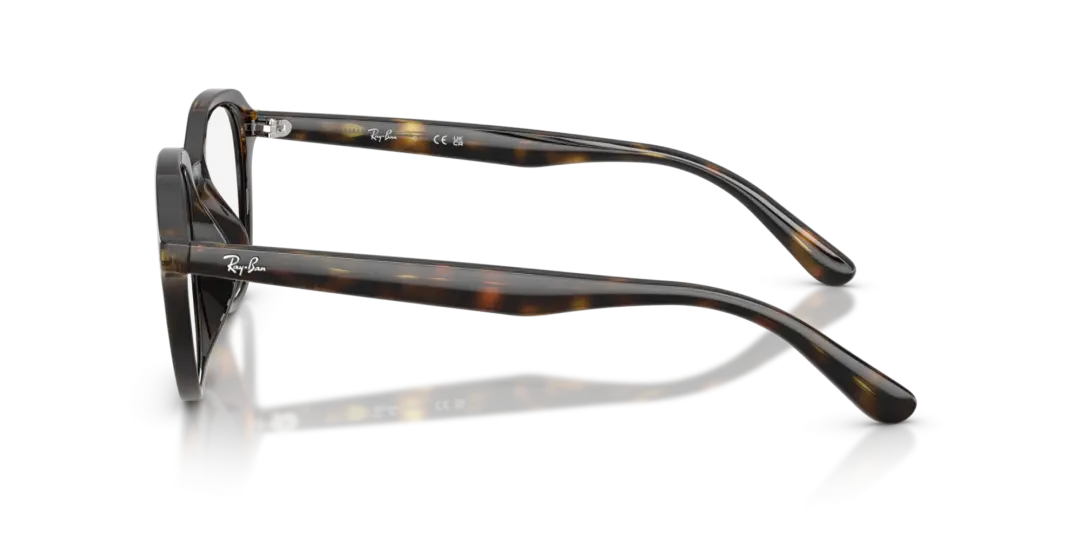 Ray-Ban Optical 0RX7259D 2012