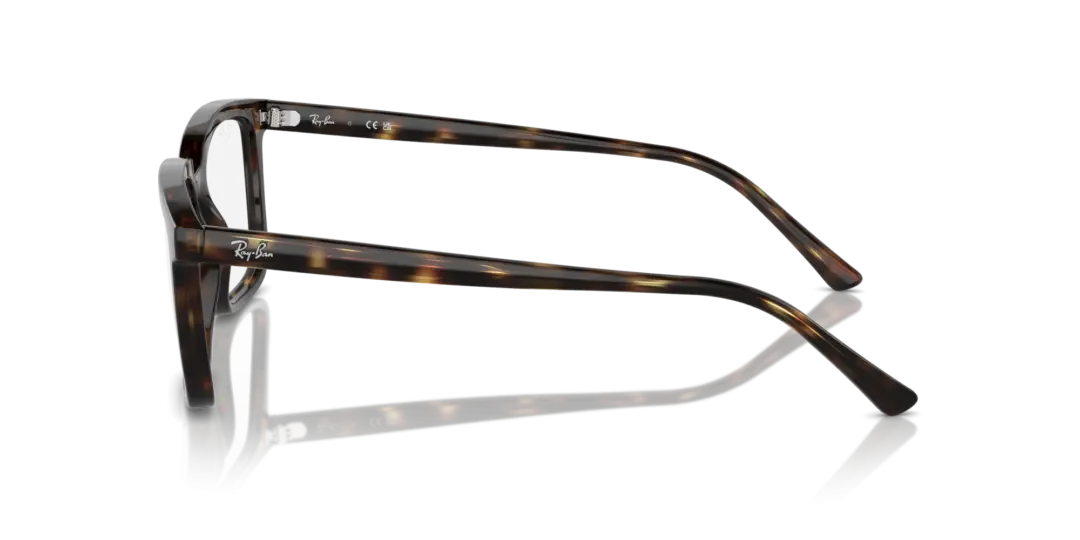 Ray-Ban Optical Alain 0RX7239F 2012