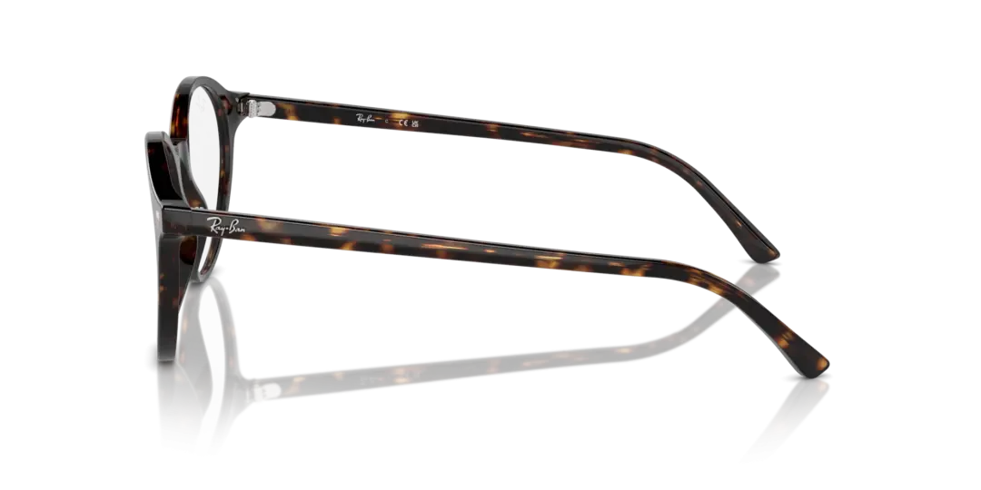 Ray-Ban Optical Bernard 0RX5430F 2012