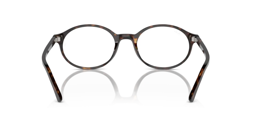 Ray-Ban Optical German 0RX5429 2012