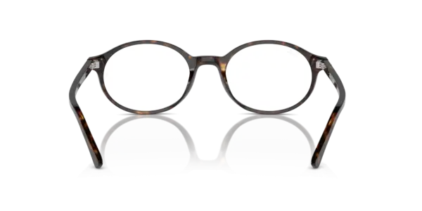 Ray-Ban Optical German 0RX5429 2012
