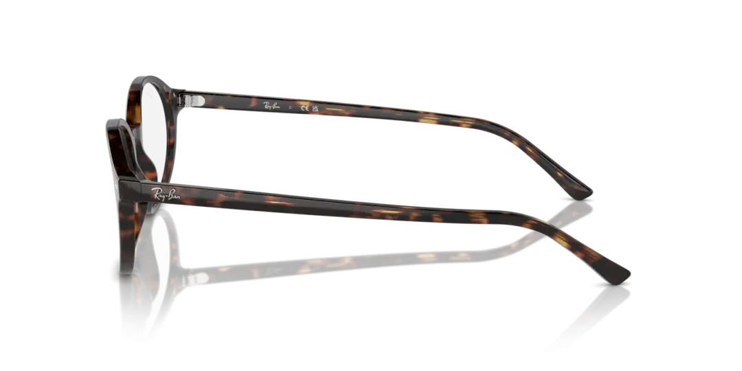 Ray-Ban Optical German 0RX5429 2012