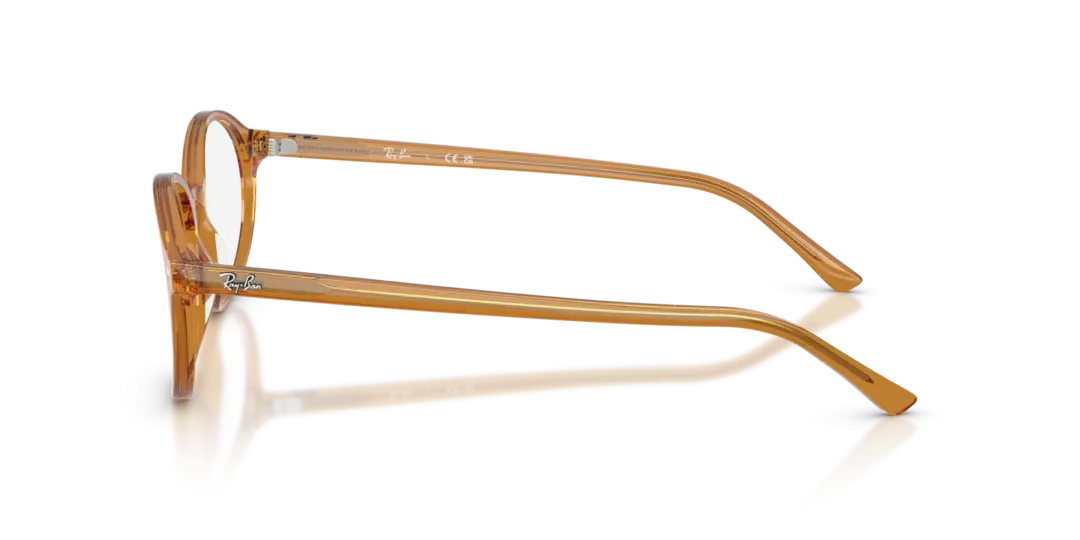 Ray-Ban Optical German 0RX5429 8439