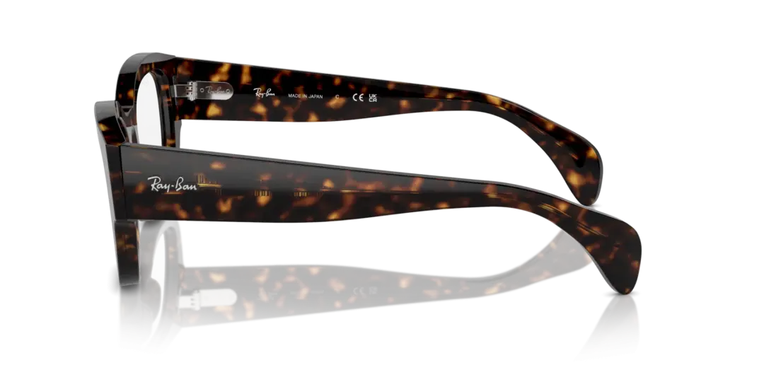 Ray-Ban Optical Jorge 0RX7681V 2012