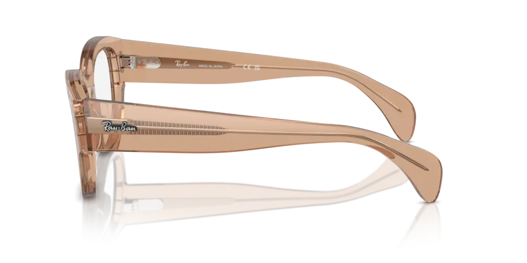 Ray-Ban Optical Jorge 0RX7681V 8353