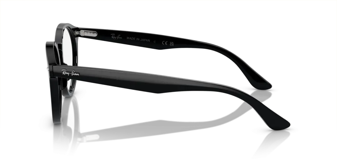 Ray-Ban Optical Larry 0RX7680V 2000