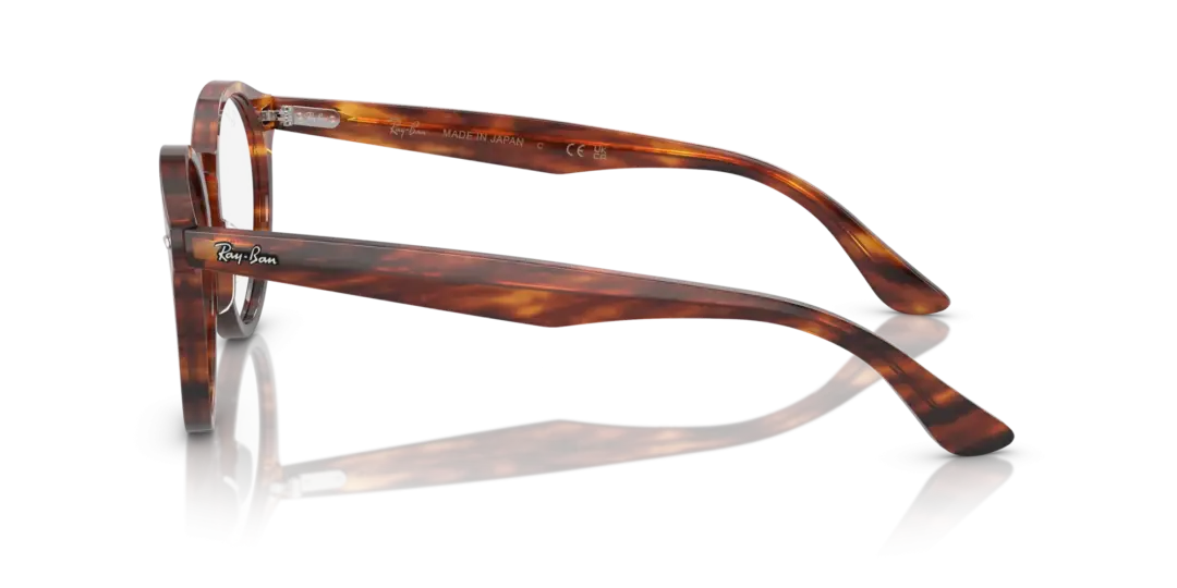 Ray-Ban Optical Larry 0RX7680V 2144