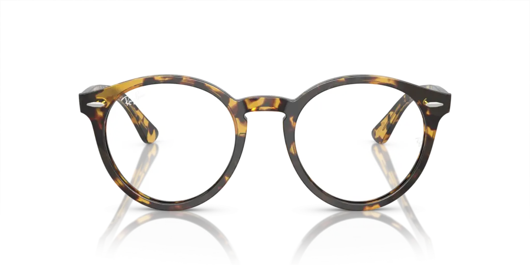 Ray-Ban Optical Larry 0RX7680V 8116