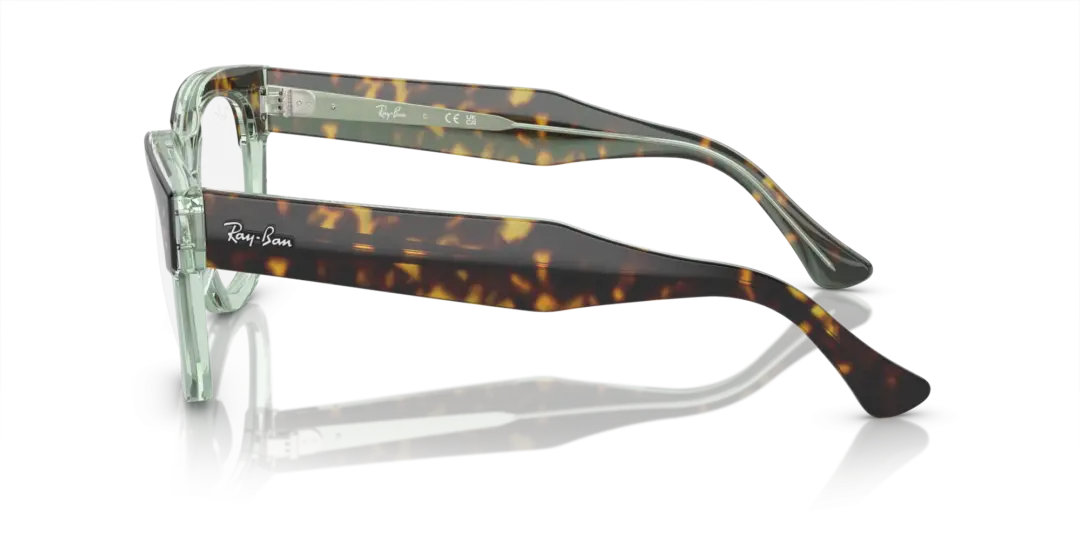 Ray-Ban Optical Mega hawkeye 0RX0298VF 8249