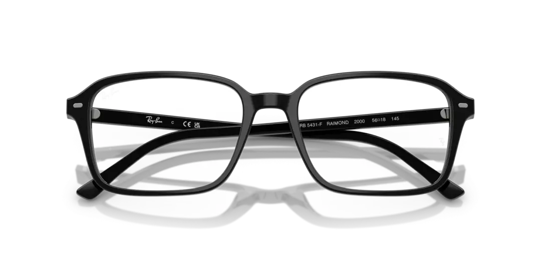 Ray-Ban Optical Raimond 0RX5431F 2000