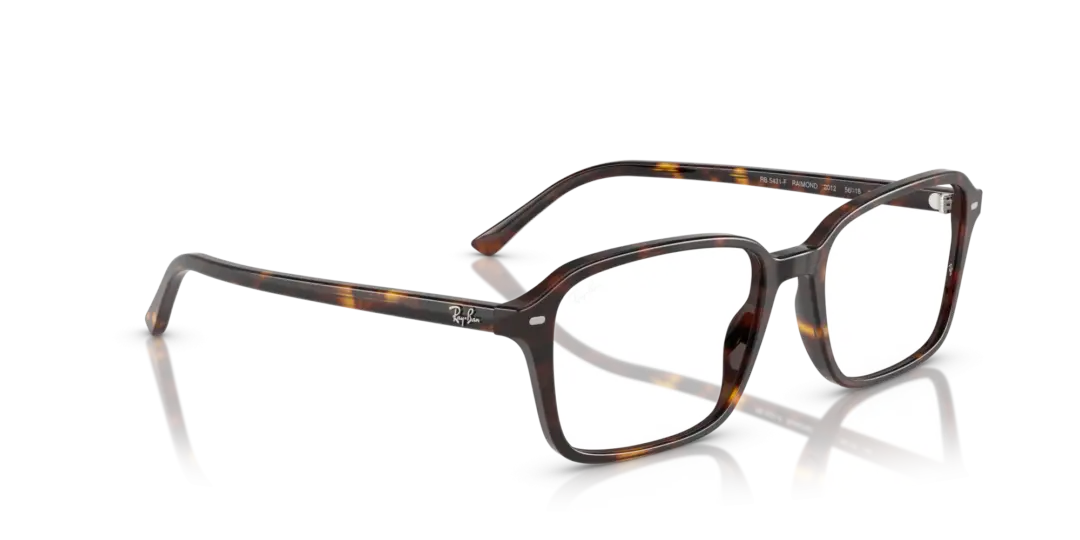 Ray-Ban Optical Raimond 0RX5431F 2012