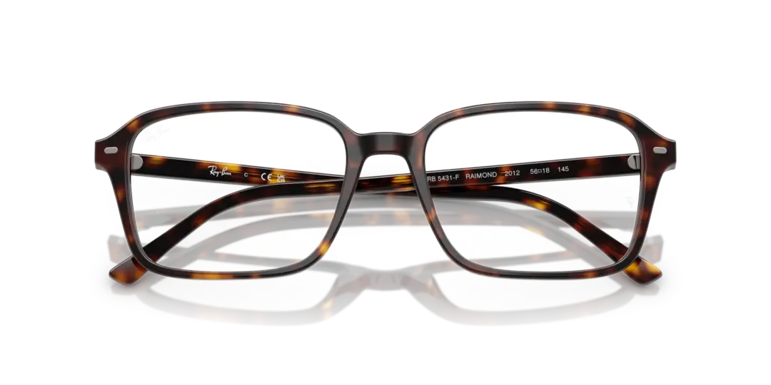 Ray-Ban Optical Raimond 0RX5431F 2012