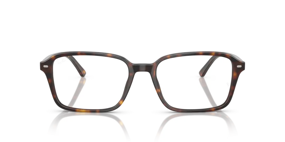 Ray-Ban Optical Raimond 0RX5431F 2012