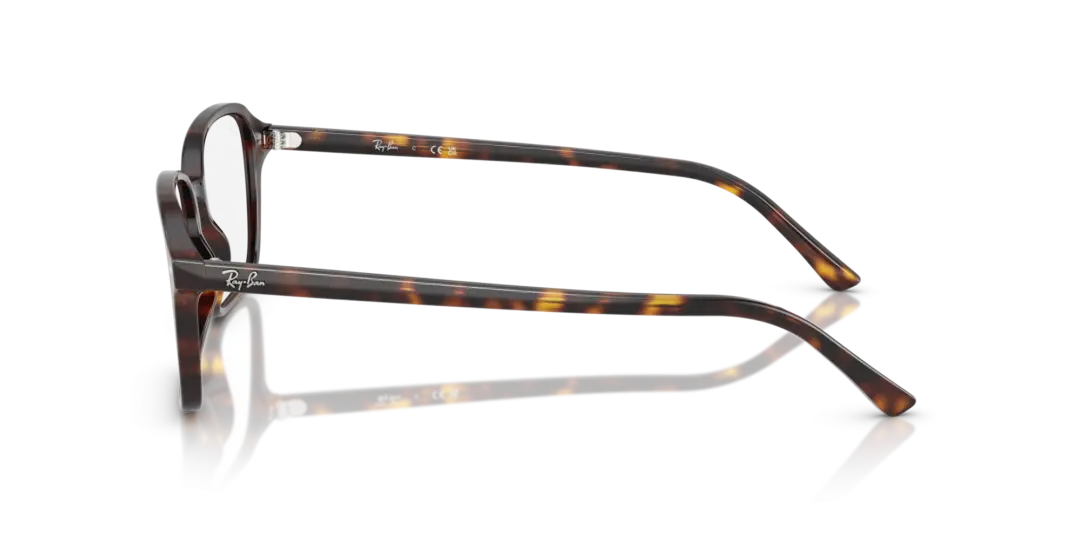 Ray-Ban Optical Raimond 0RX5431F 2012