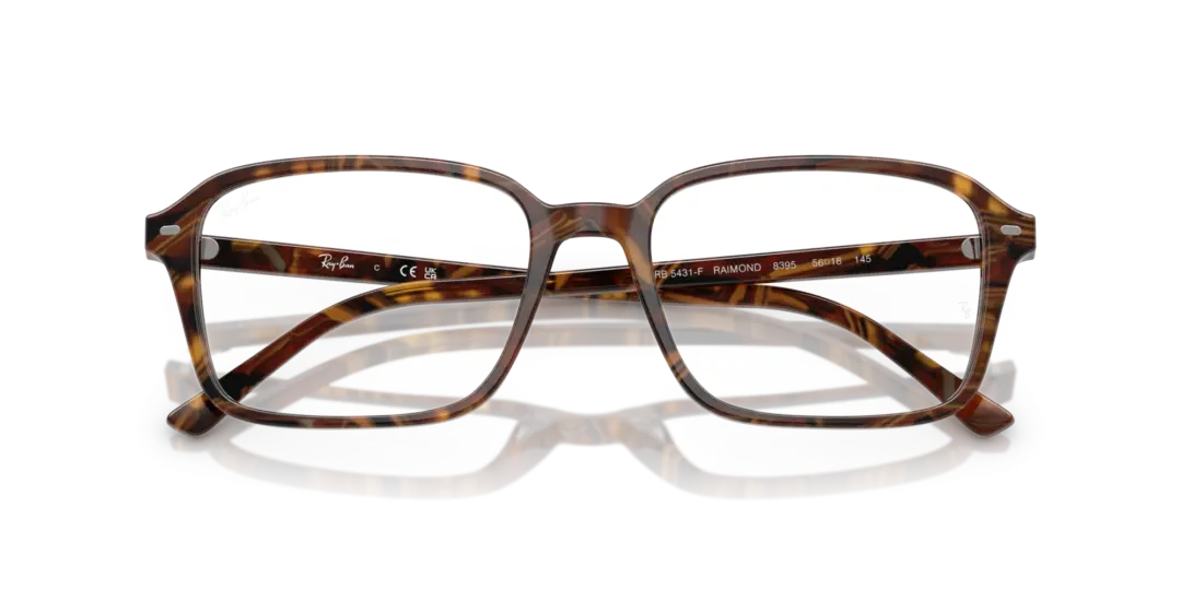 Ray-Ban Optical Raimond 0RX5431F 8395