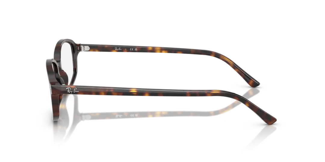 Ray-Ban Optical Sam 0RX5432 2012