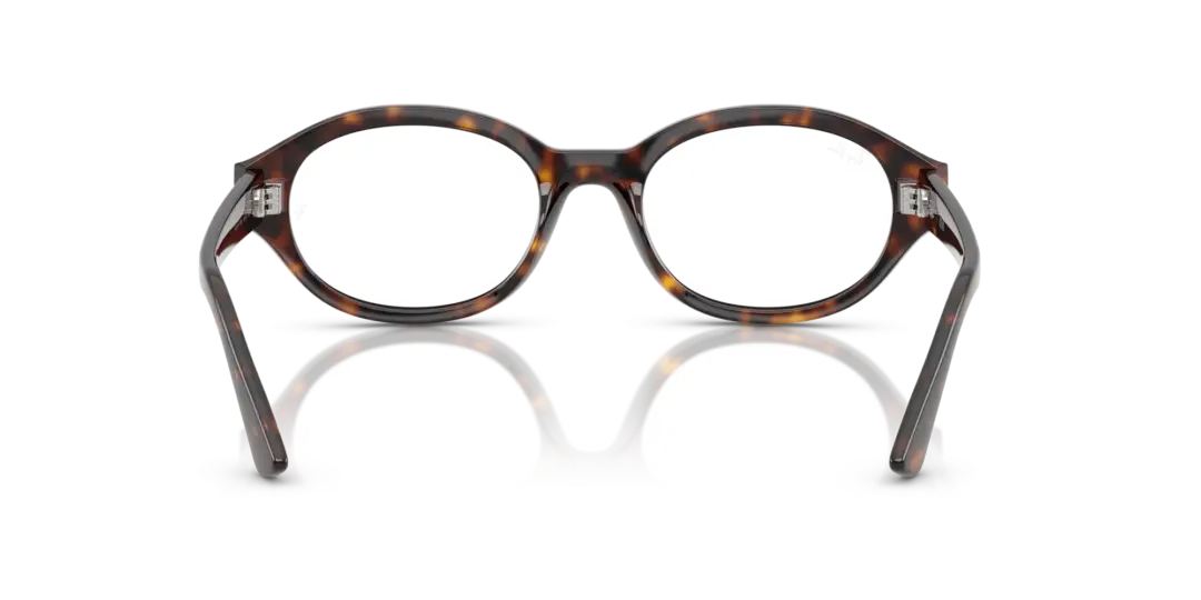 Ray-Ban Optical Shilo 0RX7257F 8320