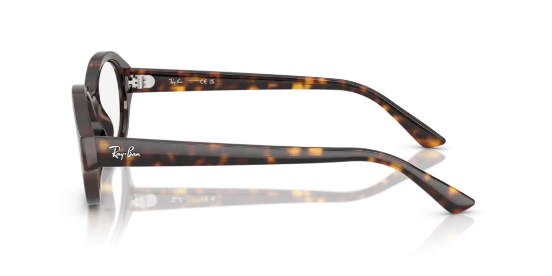 Ray-Ban Optical Shilo 0RX7257F 8320