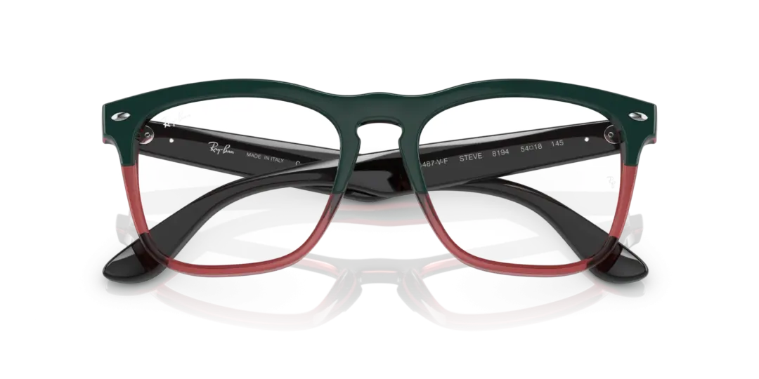 Ray-Ban Optical Steve 0RX4487VF 8194