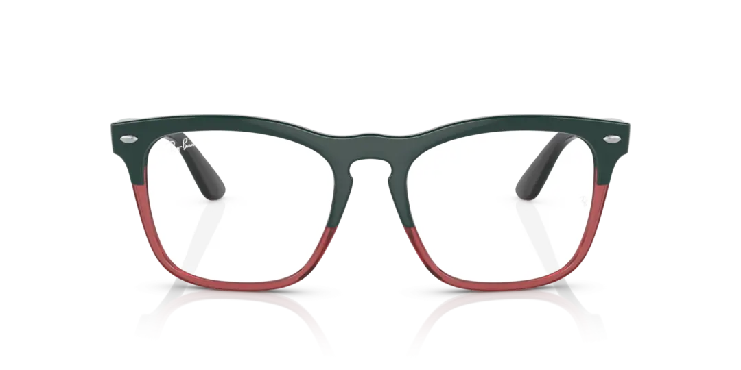Ray-Ban Optical Steve 0RX4487VF 8194