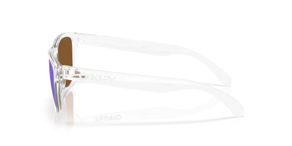 OAKLEY Frogskins s 0OO9508 950802