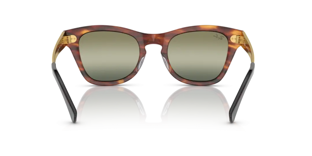 Ray-Ban 0RB0707SM 954/G4