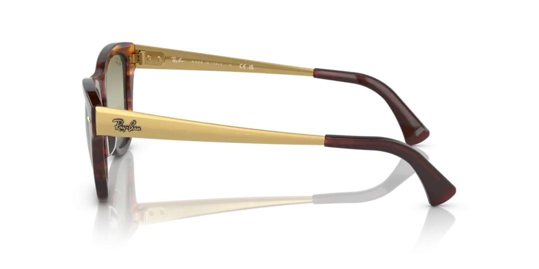 Ray-Ban 0RB0707SM 954/G4