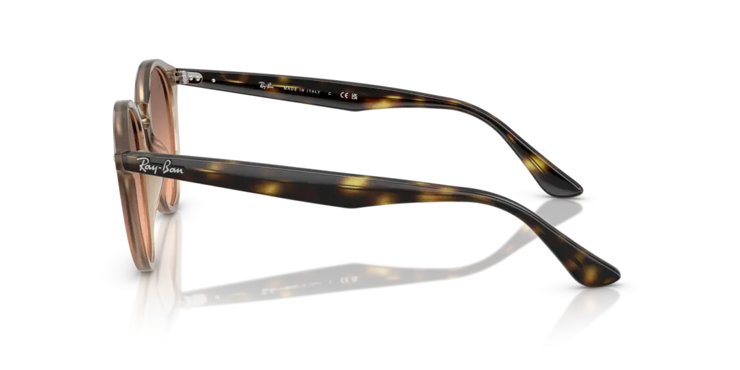 Ray-Ban 0RB2180F 678846