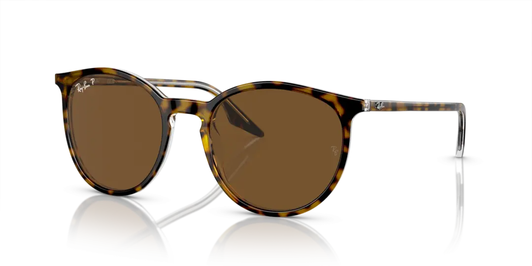 Ray-Ban 0RB2204F 139357