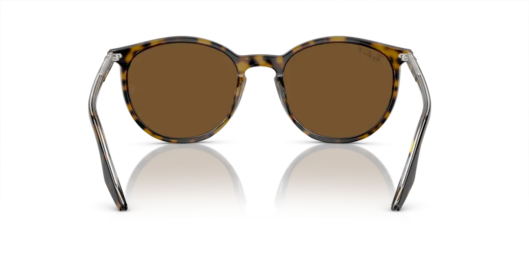 Ray-Ban 0RB2204F 139357