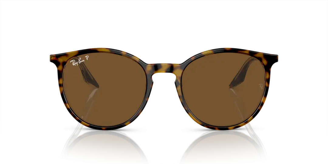 Ray-Ban 0RB2204F 139357