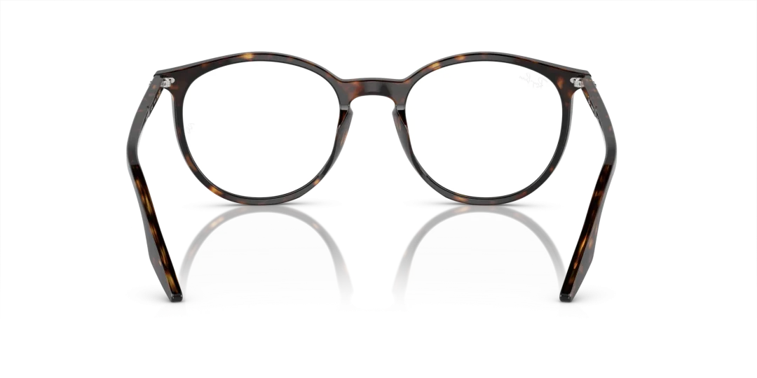 Ray-Ban 0RB2204F 902/GJ