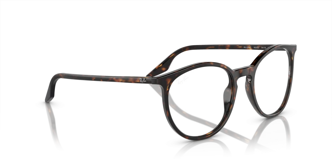 Ray-Ban 0RB2204F 902/GJ