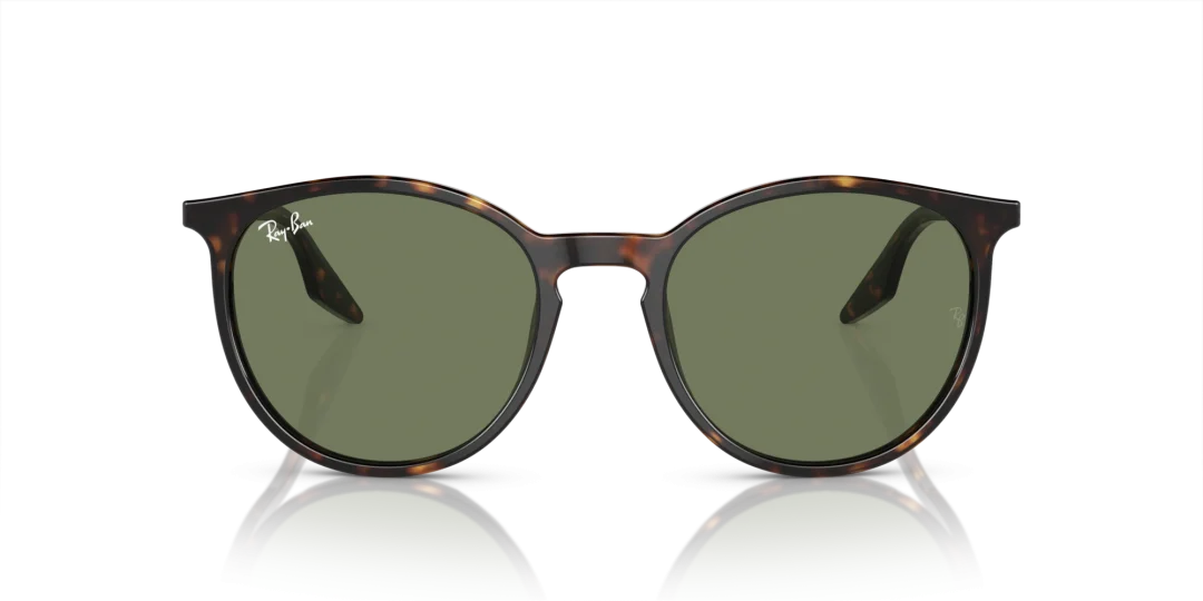 Ray-Ban 0RB2204F 902/GJ